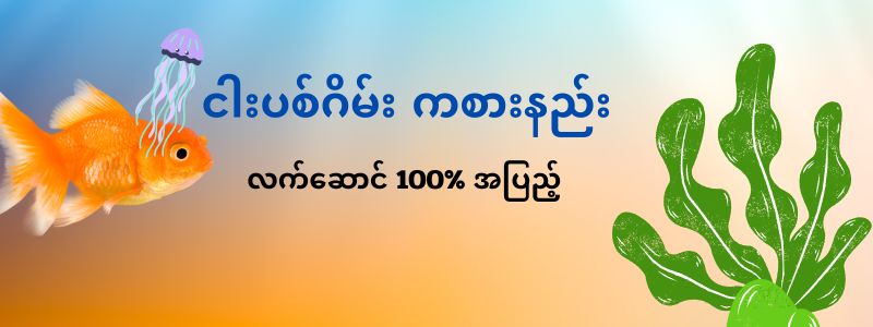 ငါးပစ်ဂိမ်း ကစားနည်း